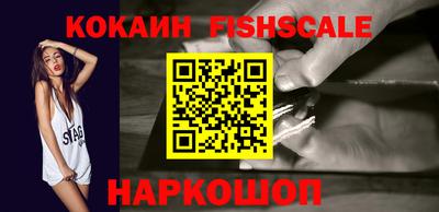 стафф Камышлов