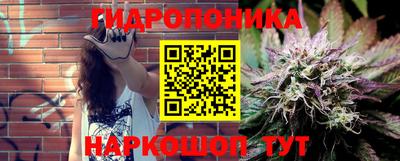 стафф Камышлов