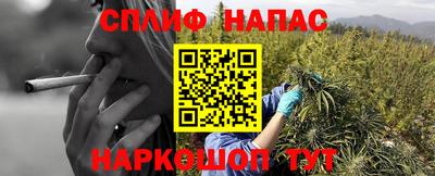 стафф Камышлов