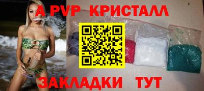 стафф Камышлов