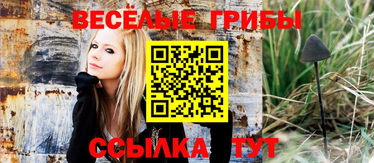 Псилоцибиновые грибы мицелий Благовещенск