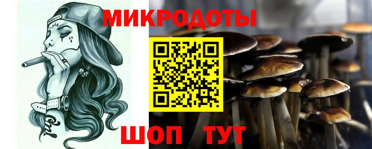 Псилоцибиновые грибы Psilocybe  Вход с VPN  Галлюциногенные грибы Psilocybe  Благовещенск 